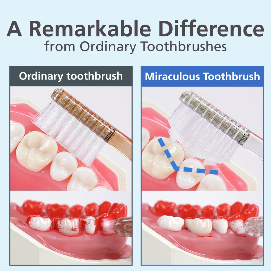 HaRENO Miraculous Japanese Toothbrush for Adult