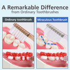 HaRENO Miraculous Japanese Toothbrush for Adult