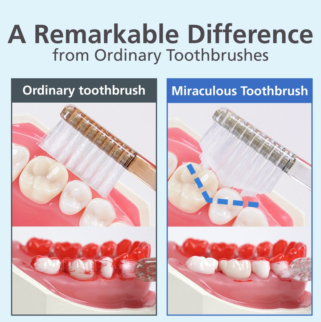 HaRENO Miraculous Japanese Toothbrush for Adult